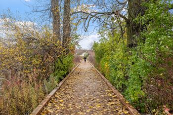Walking/biking trails